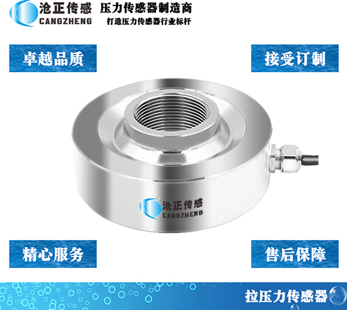滄正壓力傳感器CAZF-LY80 滄正壓力傳感器CAZF-LY80